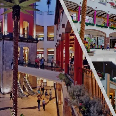 Apartament Madeira Ocean 1